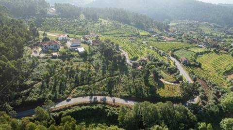 Terreno  para venda