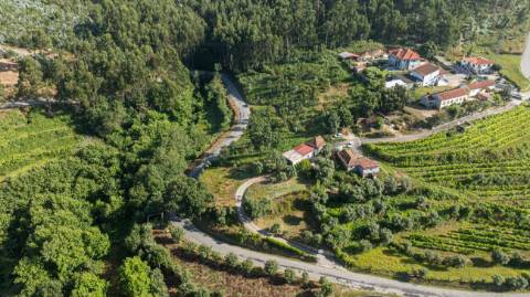 Terreno  para venda
