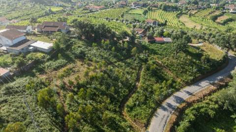 Terreno  para venda