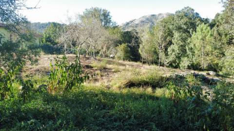 Terreno  para venda