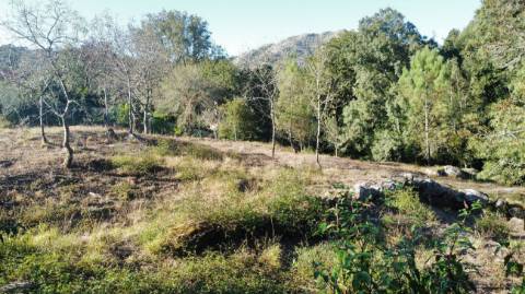 Terreno  para venda