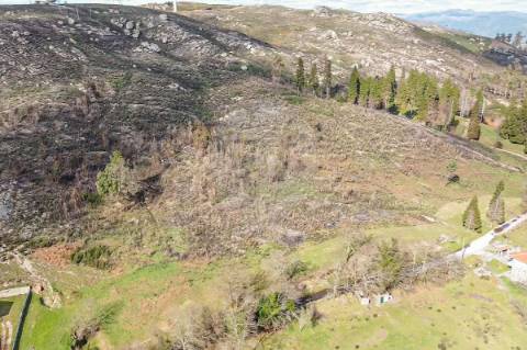 Terreno  para venda
