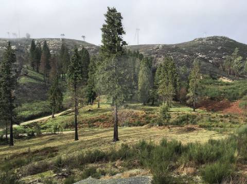 Terreno  para venda