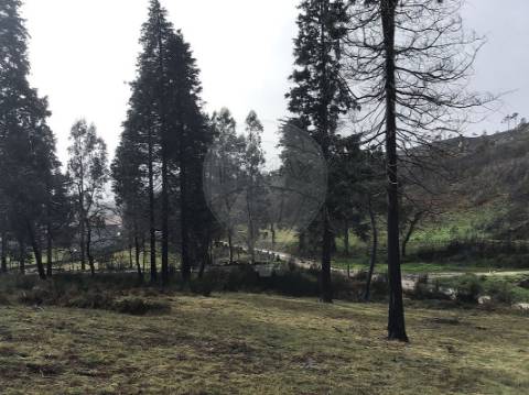 Terreno  para venda