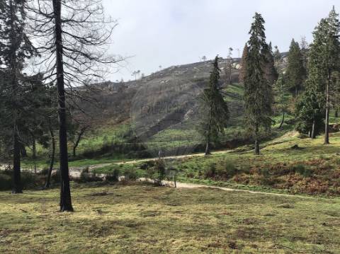 Terreno  para venda