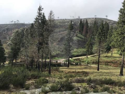 Terreno  para venda