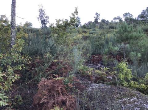 Terreno  para venda