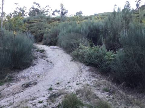 Terreno  para venda