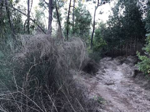 Terreno  para venda