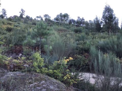 Terreno  para venda