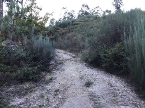Terreno  para venda