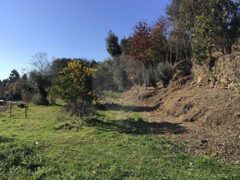 Terreno  para venda