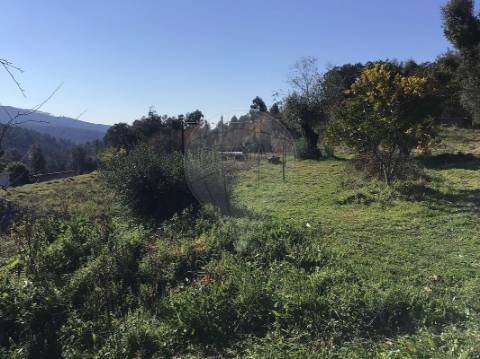 Terreno  para venda