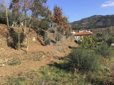 Terreno  para venda