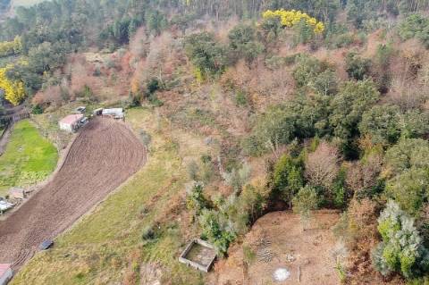 Terreno  para venda