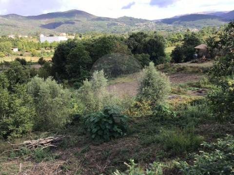 Terreno  para venda