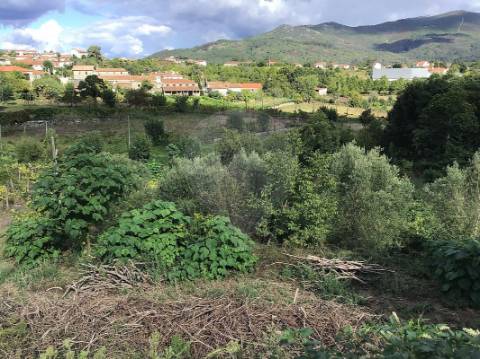Terreno  para venda