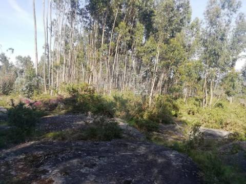 Terreno  para venda