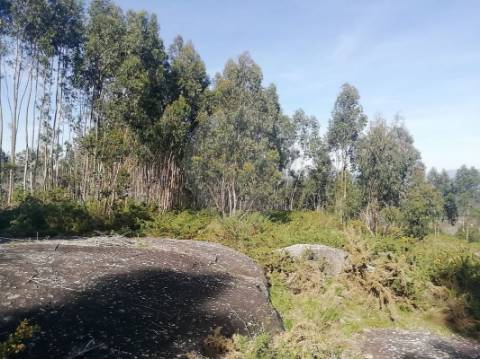 Terreno  para venda