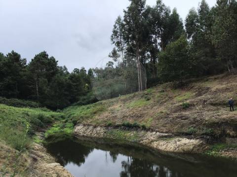 Terreno  para venda