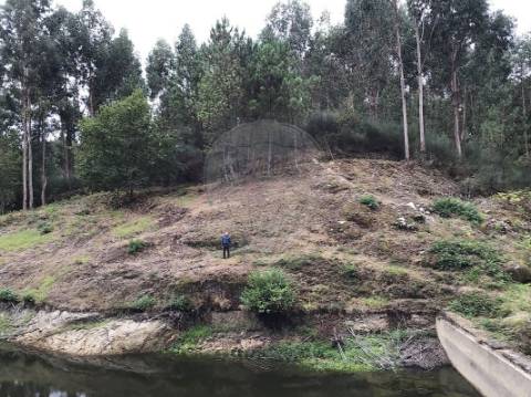 Terreno  para venda
