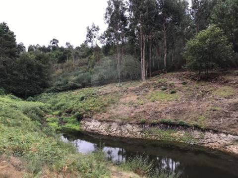 Terreno  para venda