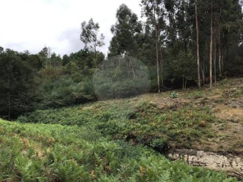 Terreno  para venda
