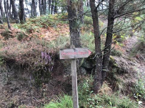Terreno  para venda