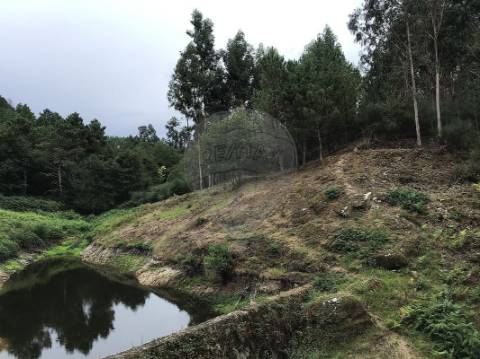 Terreno  para venda