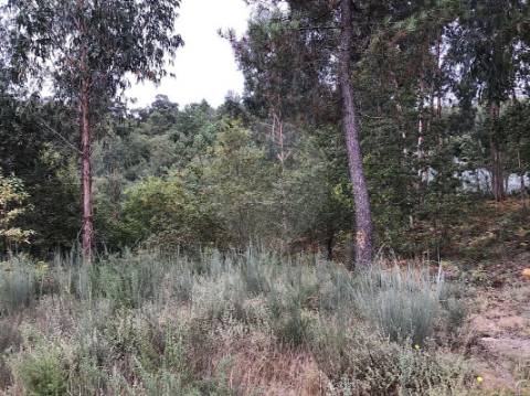 Terreno  para venda