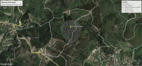 Terreno  para venda