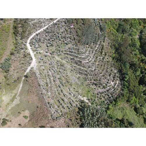 Terreno  para venda