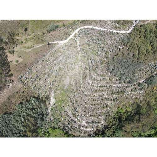Terreno  para venda