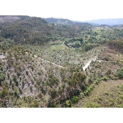 Terreno  para venda