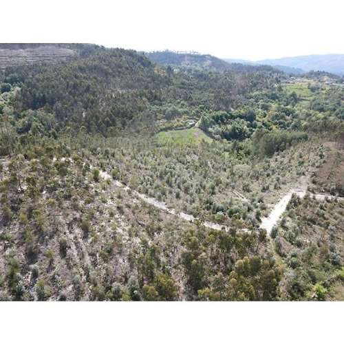 Terreno  para venda