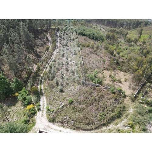 Terreno  para venda