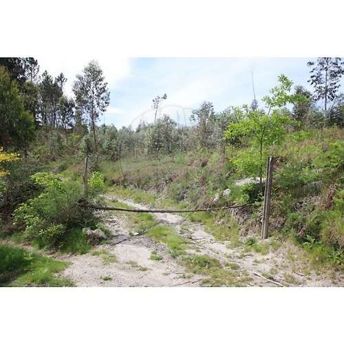 Terreno  para venda