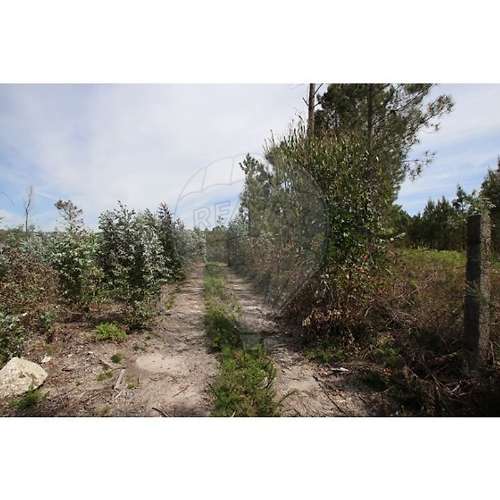 Terreno  para venda