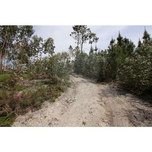 Terreno  para venda