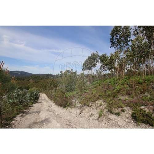 Terreno  para venda
