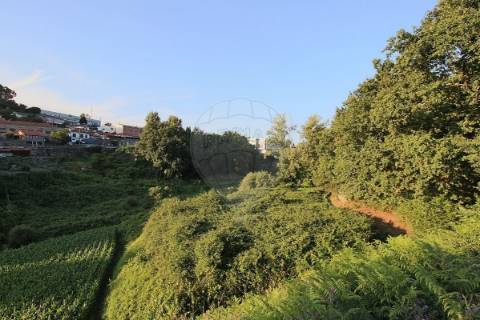 Terreno  para venda