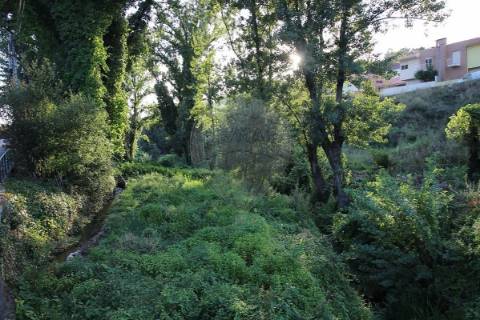 Terreno  para venda