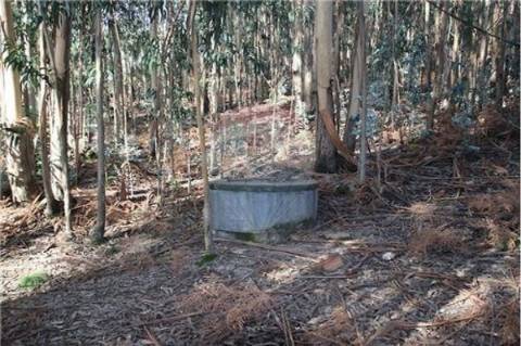 Terreno para venda
