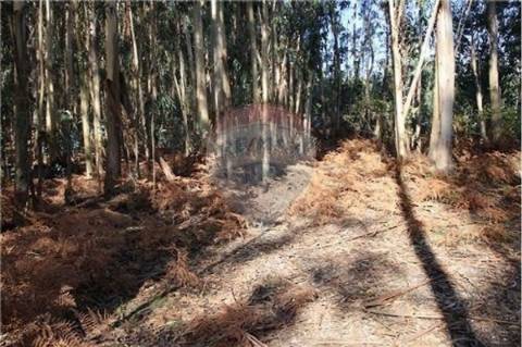 Terreno para venda