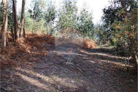 Terreno para venda