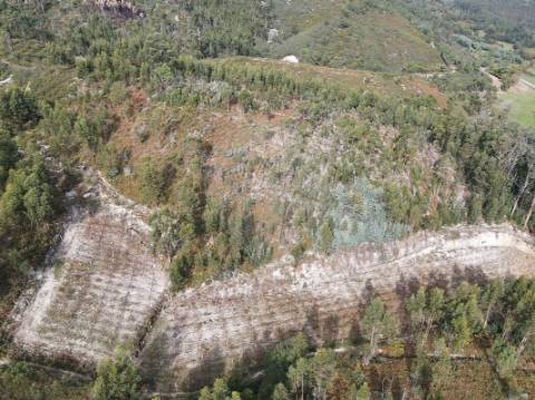 Terreno  para venda
