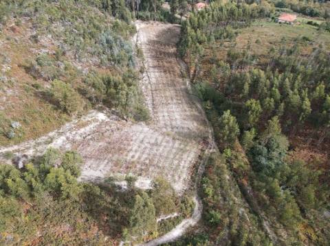 Terreno  para venda