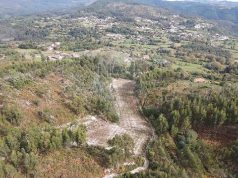 Terreno  para venda