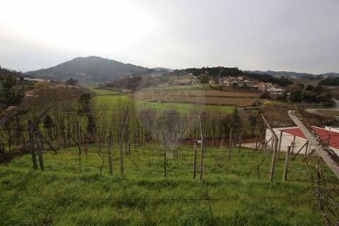 Terreno  para venda