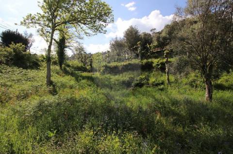 Terreno  para venda